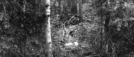 MÖRDARE ELLER OFFER? Det som återstod av skogsarbetaren Albert Jansson Sjödals kropp   hittades på en undanskymd plats i skogen i Torsåker sommaren 1918. Tre år tidigare hade han försvunnit och nu var frågan om han tagit sitt liv efter att ha mördat sin älskarinna. Eller om han själv var offer för en mördare. 

