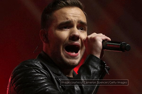 Payne: One Direction was never Zayn's 'kind of bag'